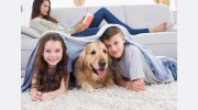 B & E Air Conditioning & Heating